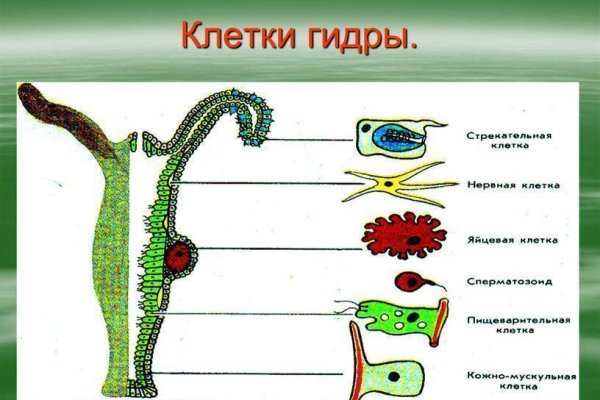 Ссылка на сайт кракен в тор