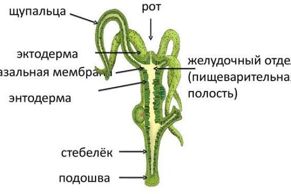 Ссылка на кракен лукойл