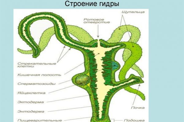 Кракен даркнет лол