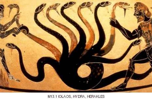 Kraken рабочее зеркало